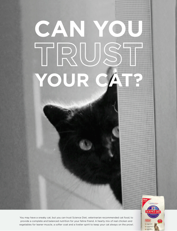 cat food ad, illustrating a sense of curiosity about recent cat research