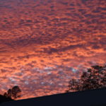 The Art of Cloud Watching